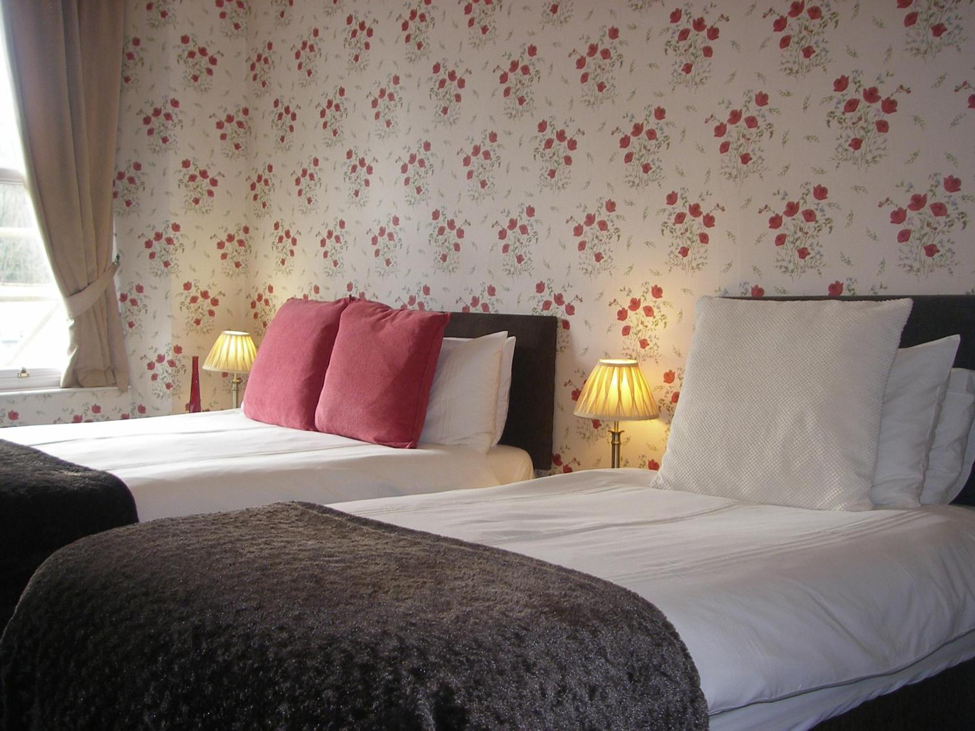 Saffron House Bed & Breakfast Combe Martin Exterior foto